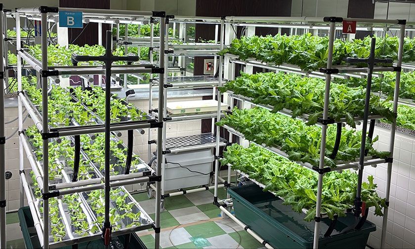 plantslab.jpg